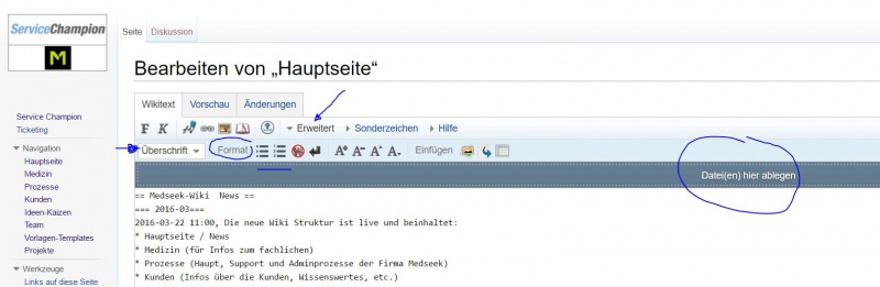 Datei:Wikimenubar.JPG